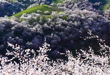 新疆成为旅游人次同比增长最快旅游目的地     从途牛携程大数据报告看新疆旅游新气象