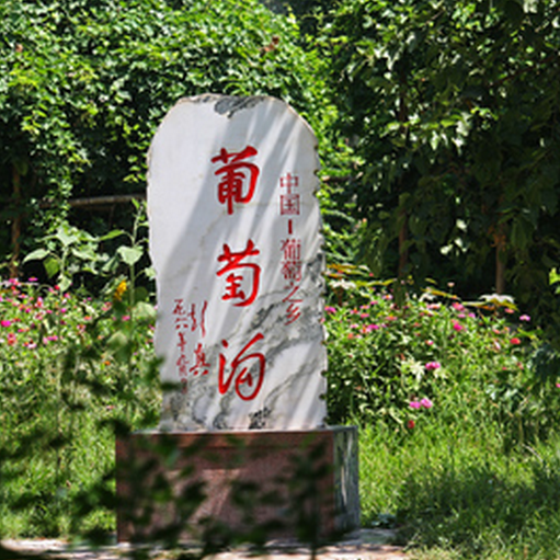 新疆乌市-喀纳斯-吐鲁番-天山天池